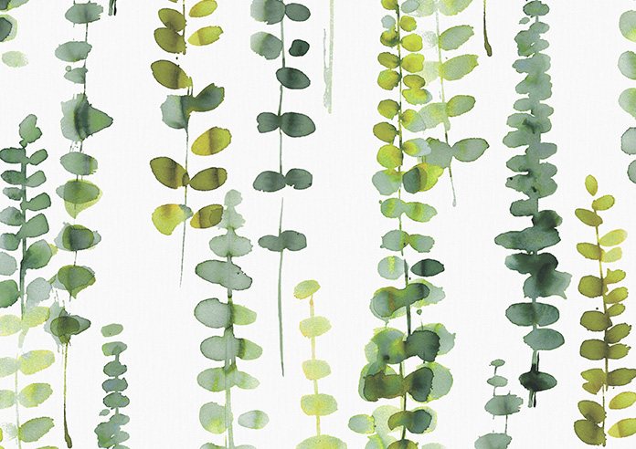 Santa Maria, Botany Green - Twist&Fit Roller Blind - Image 6